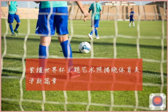 紫檀世界杯主题艺术照揭晓体育美学新篇章