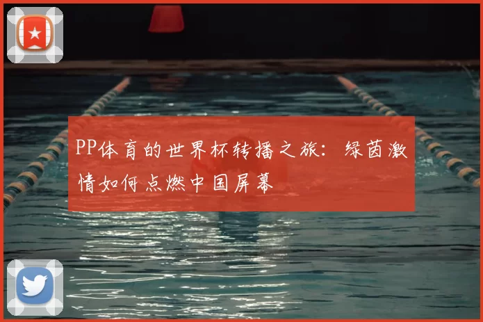 PP体育的世界杯转播之旅:绿茵激情如何点燃中国屏幕