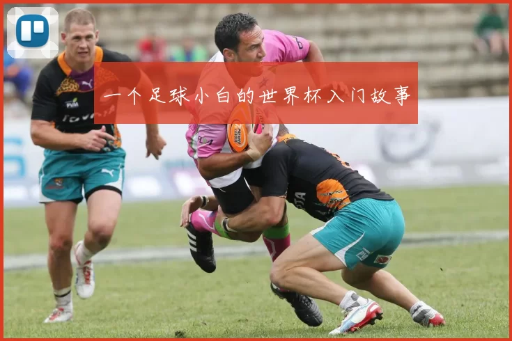 一个足球小白的世界杯入门故事