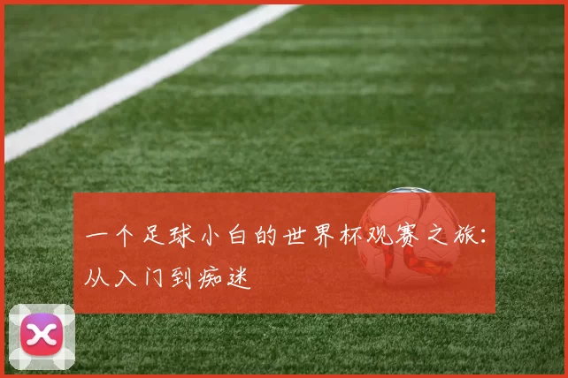 一个足球小白的世界杯观赛之旅:从入门到痴迷