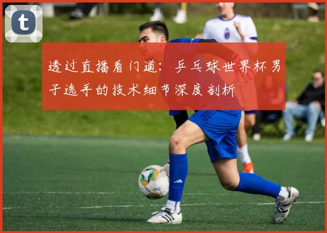 透过直播看门道：乒乓球世界杯男子选手的技术细节深度剖析