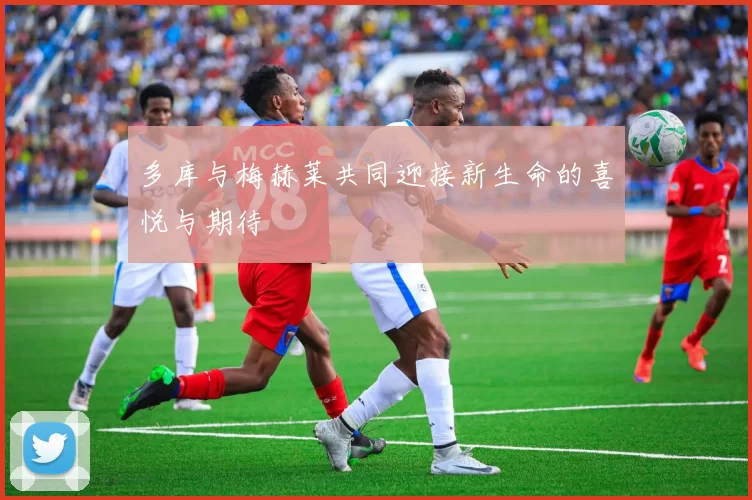 多库与梅赫莱共同迎接新生命的喜悦与期待