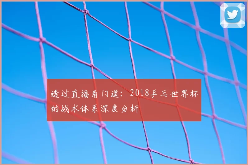 透过直播看门道：2018乒乓世界杯的战术体系深度分析