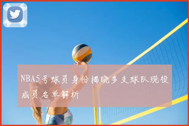 NBA5号球员身份揭晓多支球队现役成员名单解析