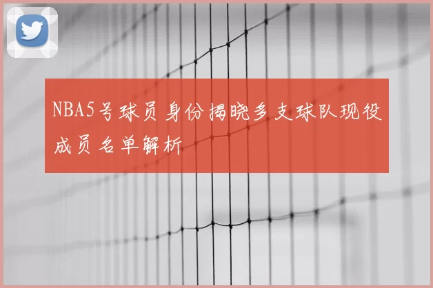 NBA5号球员身份揭晓多支球队现役成员名单解析