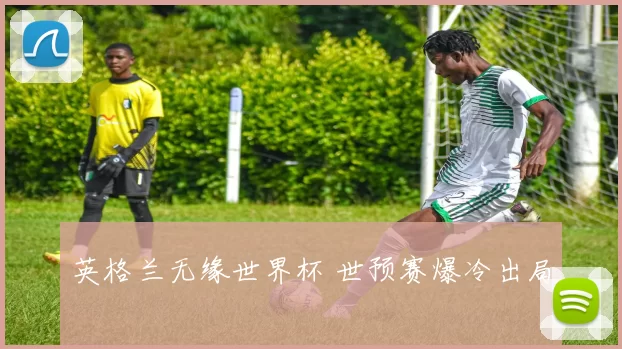 英格兰无缘世界杯 世预赛爆冷出局