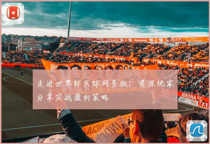 走进世界杯买球网页版:资深玩家分享实战盈利策略