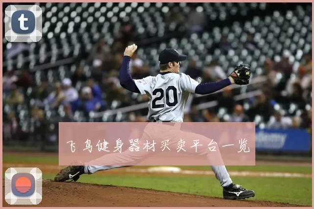 飞鸟健身器材买卖平台一览