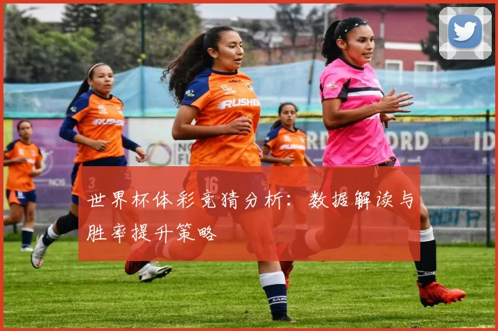 世界杯体彩竞猜分析:数据解读与胜率提升策略