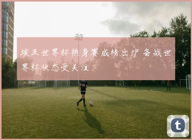 埃及世界杯热身赛成绩出炉 备战世界杯状态受关注