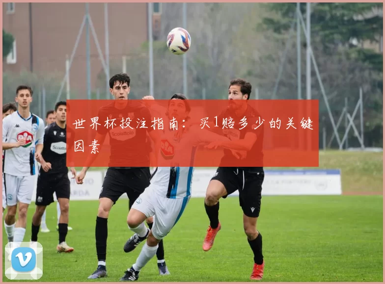世界杯投注指南：买1赔多少的关键因素