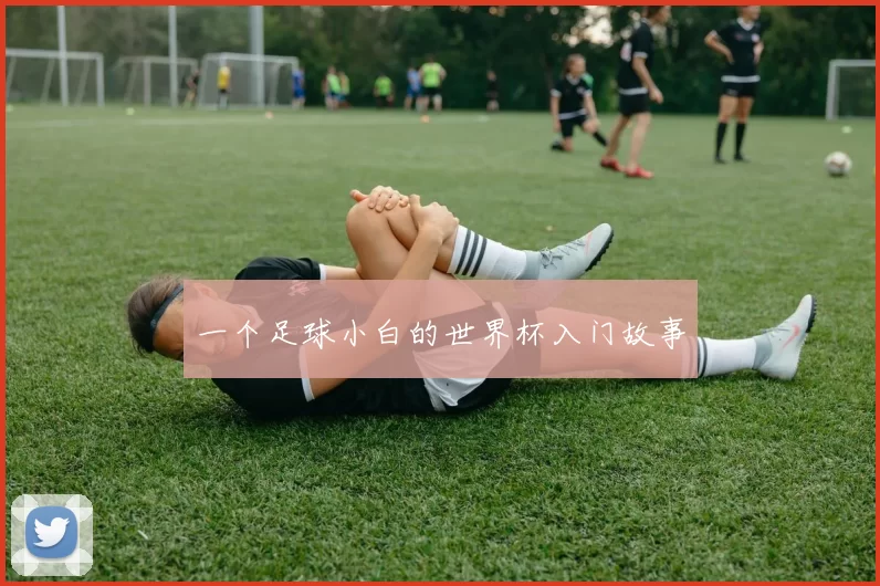 一个足球小白的世界杯入门故事